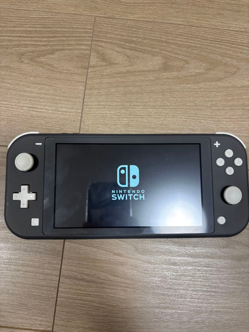 Nintendo Switch Lite グレー　BKEHDH001