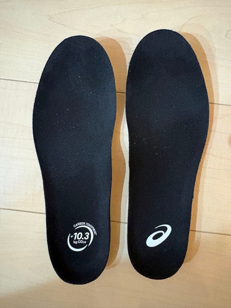 ASICS ゲルカヤノ32 25.5cm