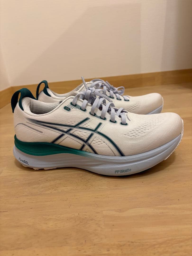 ASICS ゲルカヤノ32 25.5cm