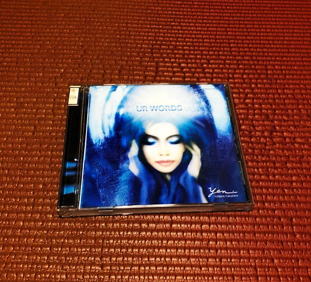 ね*こ様 ◆私を宇宙に連れてって◆ P-MODEL,ヤン富,OOIOO,Yen