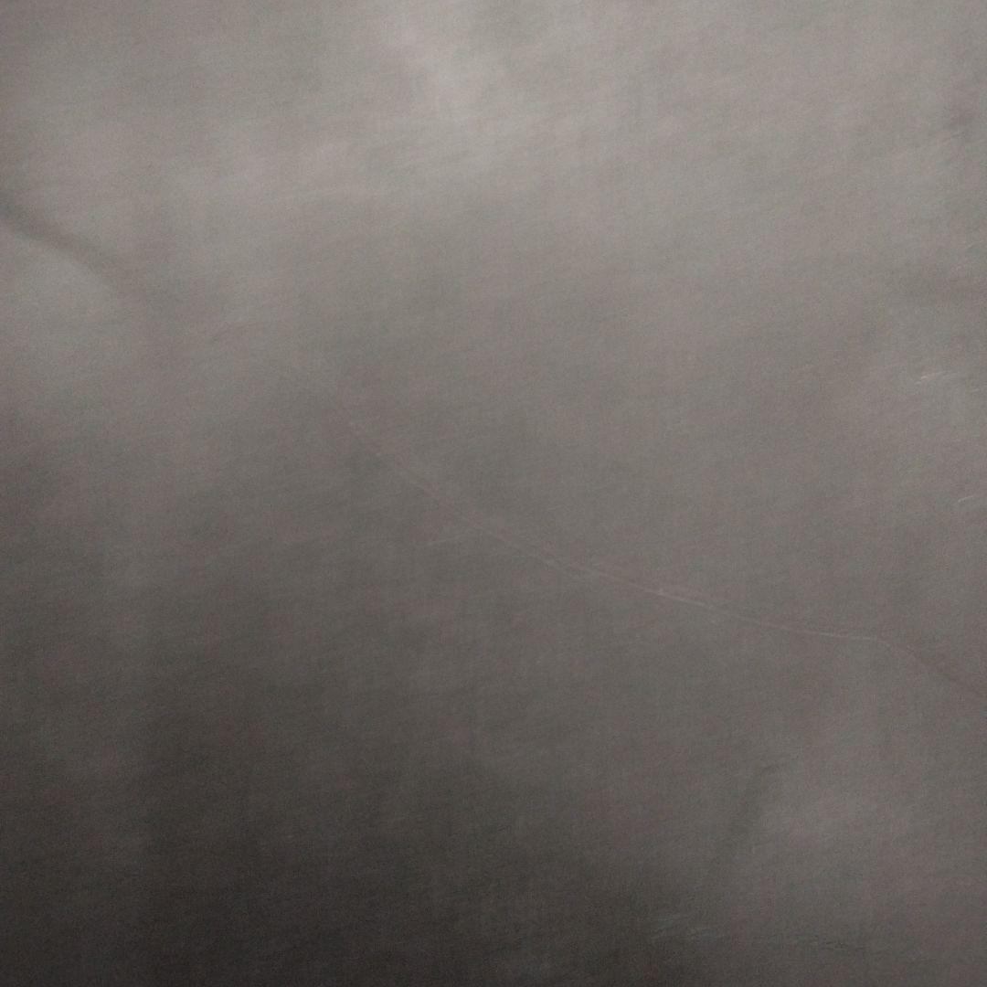 TJ brand Napoleon Fish 147 2023-2024モデル